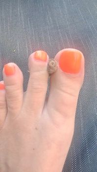 A Magical Star Using My Flexible Toes;)