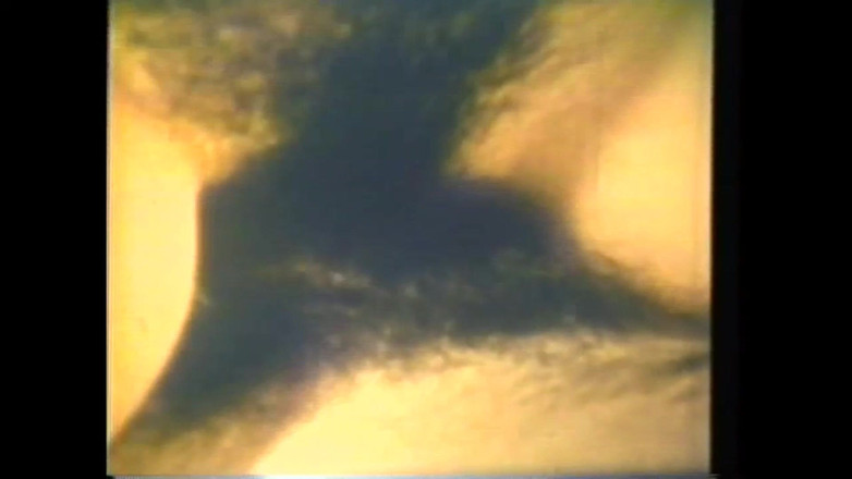 The Unforgettable: 음탕한 침대