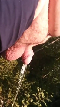 Just a Small Piss From Stepdaddy