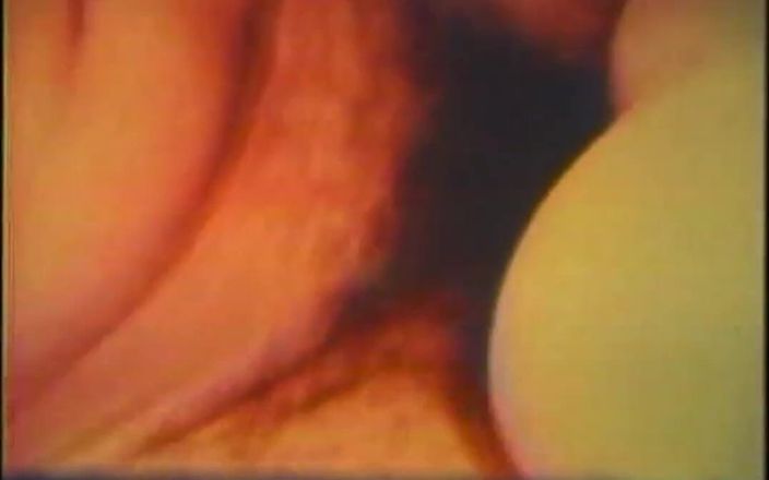 Vintage megastore: Sex Crazed Sluts of the 1960s - Restyling Movie in Full HD