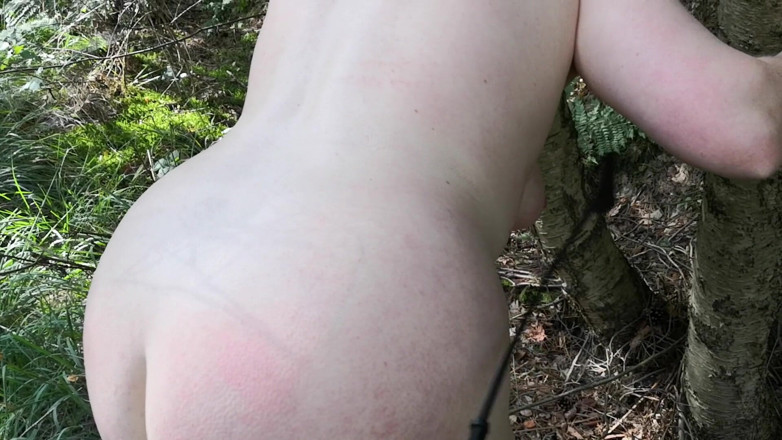 Bouncy Tits Action: Azotar en el bosque