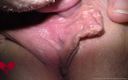 Close Up Extreme: Внешняя анатомия киски с большими половыми губами крупным планом.