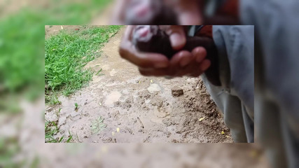 Brijesh 270: Começou a acenar adeus de fora em memória da meia-irmã