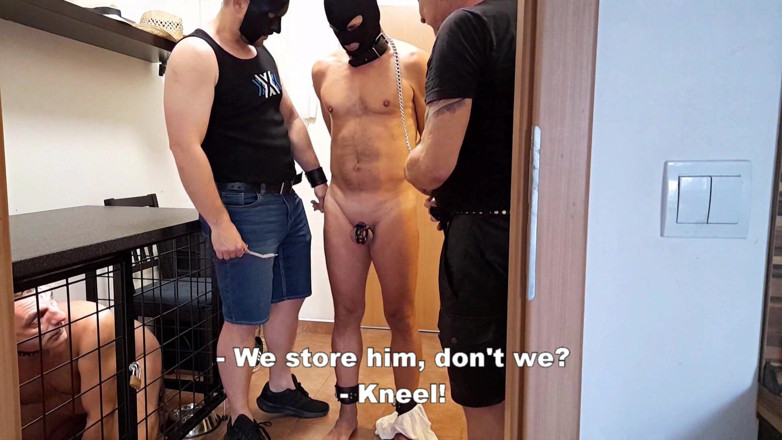 Master Drex: Чемпіонат рабів