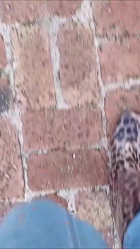 Jalan-jalan di gumboot oleh kinkylyrical