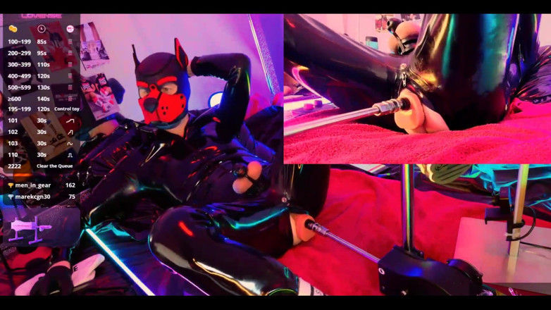 Roman Heart: Doggy Rubber Show