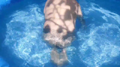 Kitty_Cross: Este Femboy Bites (docemente)