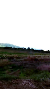 Slave Tih Performance