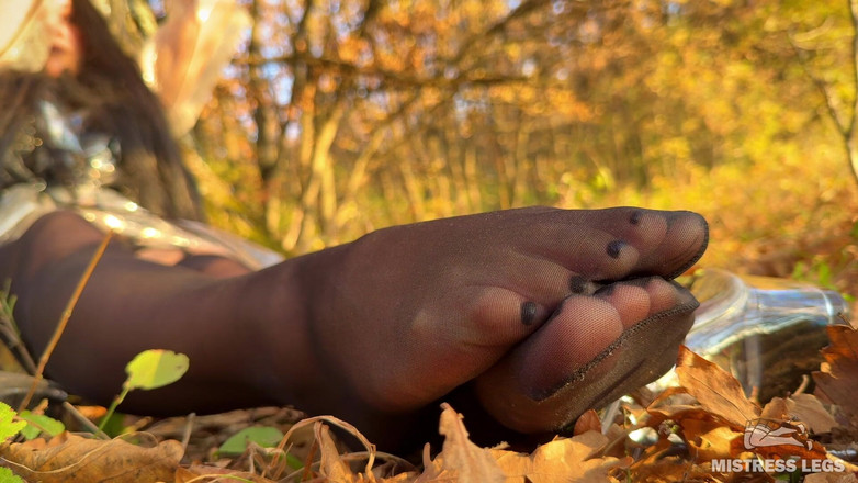 Mistress Legs: フェティシストの罠:黒いストッキングを履いた森の妖精が秋の森で足でからかう(mp4 HD)足のフェチ