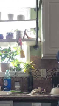 Cum and clean the kitchen with me
