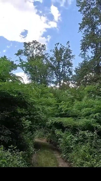 Beim Wandern sah ich einen fremden, gefesselt an einer spermastation, gab ich ihm einen handjob