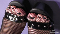 Mistress Legs: Sexy nohy a prsty na černých vysokých podpatcích a síťovaných punčochách