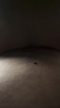 Yummy Jimmy and Slutty Kitty Sneak in the Car to Fuck