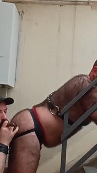 Bb Cigar Daddies 2 of 2