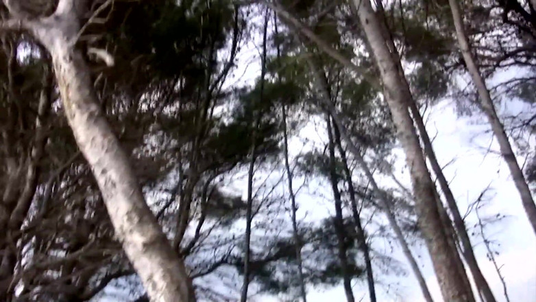 Amaspain: Awek di dalam hutan menunggu pancutan mani untuk sperma pasangannya