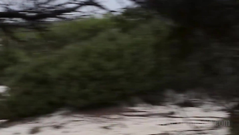 Sextermedia by Pete: Çift plajda sikişirken gözetleniyor