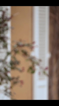 Swame Evi, Fransız Porno Gerçekliği