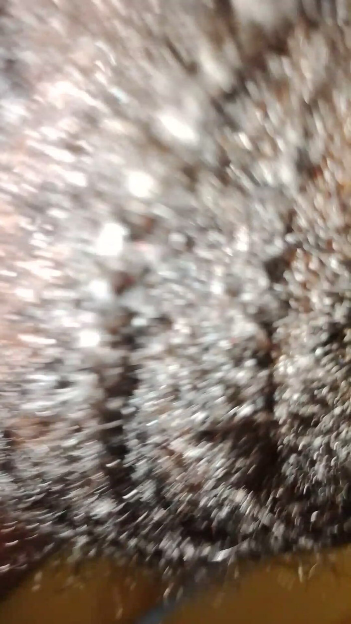 Pornsexlive: Această pulă neagră africană este moale