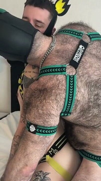 Horny Pups Fucking