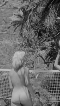 Nature & Freedom - Restored & Remastered