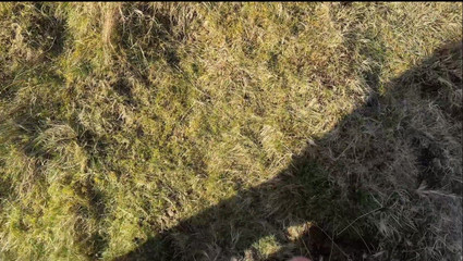 Emma Voyeur: सार्वजनिक रूप से पथपाते हुए पकड़ा गया ... उसने मुझे खत्म करने में मदद की