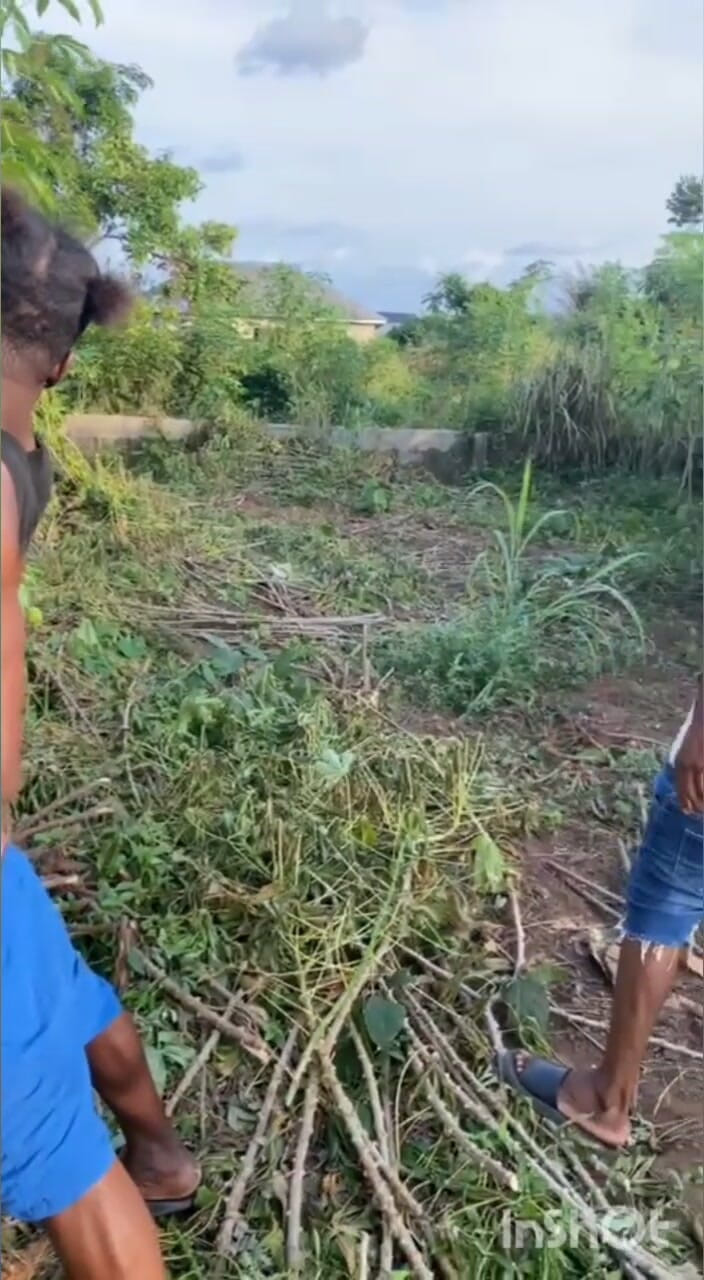 Chief_daddyy: Typ C bis Typ C Übertragung.