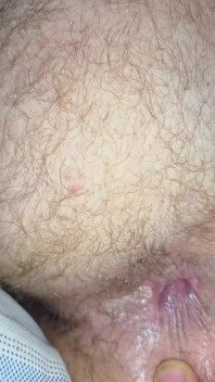 Come Mi Culo Y Bebe Mi Leche