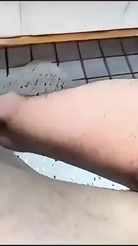 Naughty Cock Cumming in the Handjob