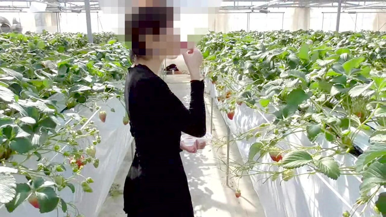 hiro_mayu_couple_jp: Mayu No.45 Çilek Avı Maruziyeti, Hemen Ağızdan, Yutma Uzmanlaşmış