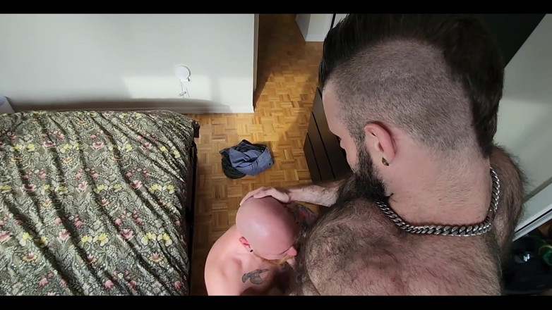 Logan Stanley: Very Hairy Beefy Stud Breeds My Hole