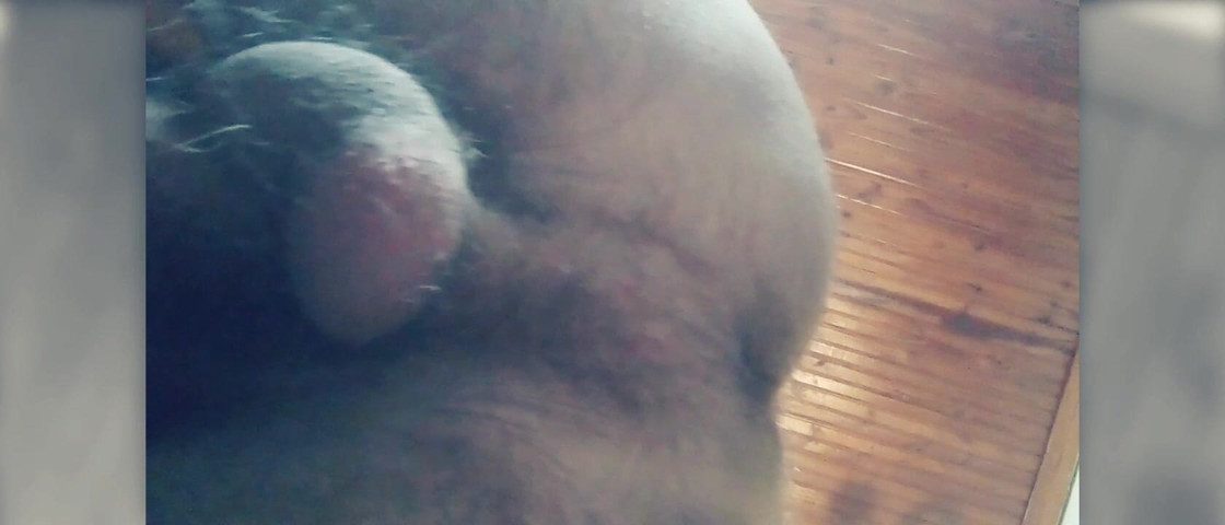 Just 1 Camera (Hairy stink male)