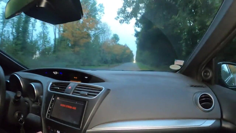 Beauty-of-pain: Hnusné!! Dámy šukají Rideshare