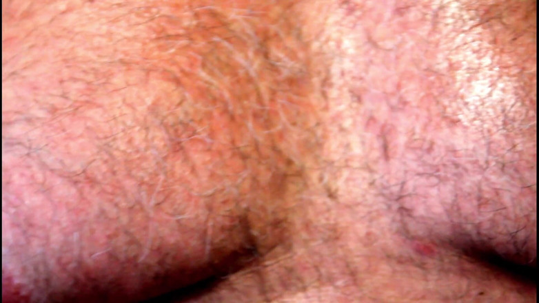 Gaybear1966: Gros ventre, ours gay, beau-père, beau-père, gros ours musclé, rebondir....
