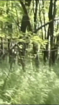 Las Zorras Del Bosque: El Cura Se Acuesta Con Una Chica Con El Capucho Mientras La Otra Se Masturba Con El Plátano