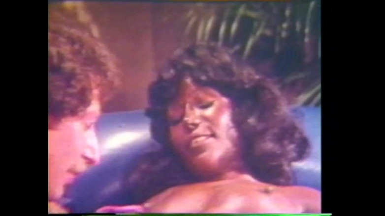 Vintage Usa: Piel De Terciopelo Negro