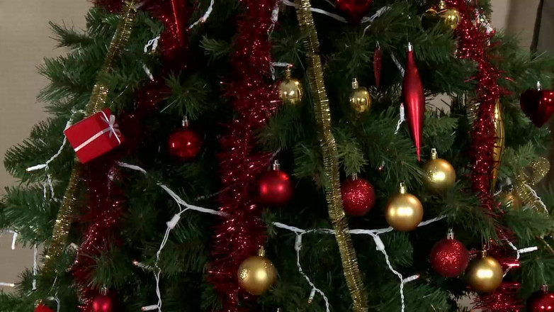 MUSCHI TV - our best full movie: En stor kuk till jul