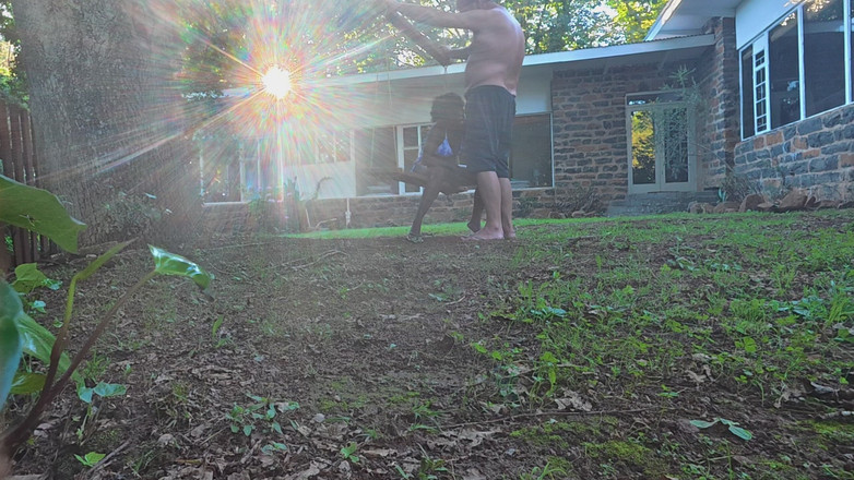 Black Swan: Дрова, которые никогда не были дома