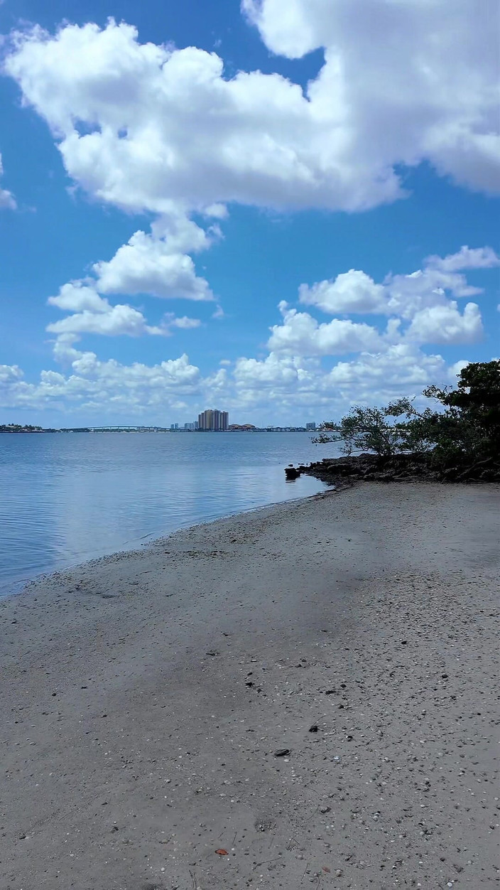 BrandySalazar: Сосет и трахаю хуй моего инструктора по струйке на пляже