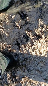 Mud Fun in Rubber Camo Wellies