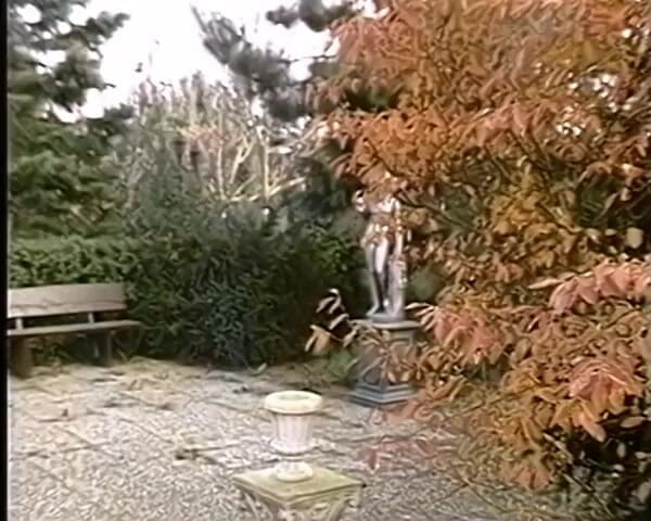GERMAN PORN CLASSICS: Leidenschaft pervers - passie pervers