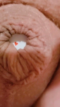 Into the Sarlacc Pit. Lee Przybylowicz Showing His Clitty Shrinkage