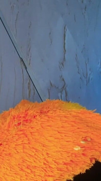 Dildo Fuck in the Basement