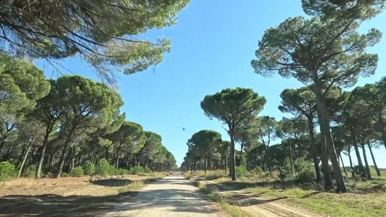 Labestiaylabella: Tôi đã gặp một người phụ nữ trong rừng và đụ cô ấy...