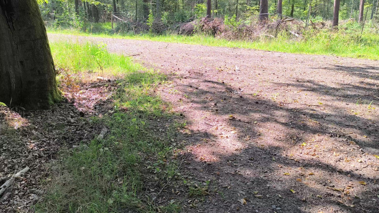 Bouncy Tits Action: Elle gifle ses gros nichons dans les bois
