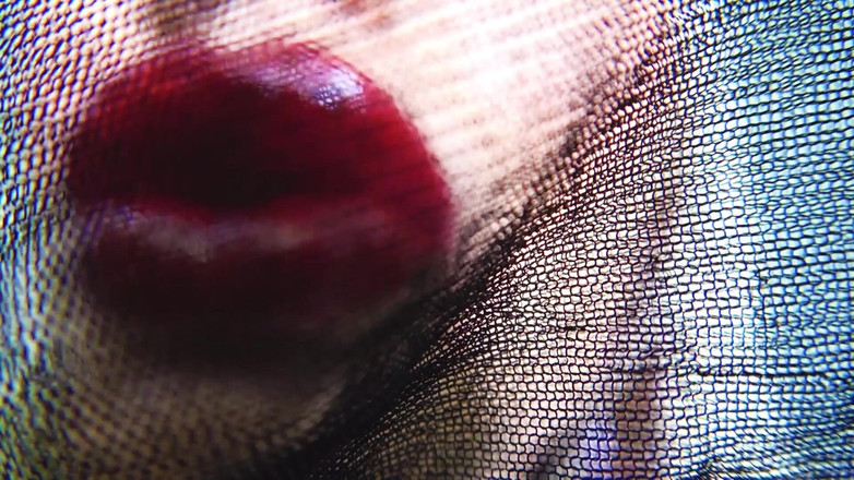 Goddess Celine: Ženská dominance