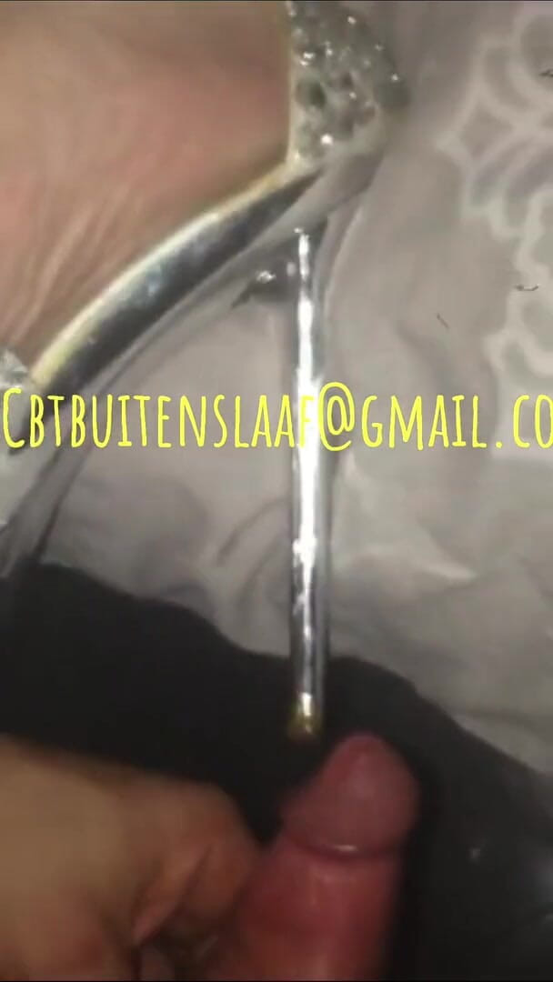 No limit cbt slave: 자지 2020년 1월 22