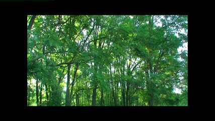 Heatwave Porn: Europäische Amateure, teil 2