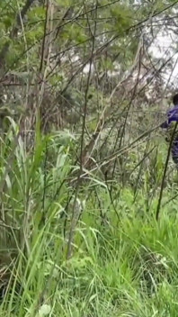作業員が公園の前を通り過ぎて、