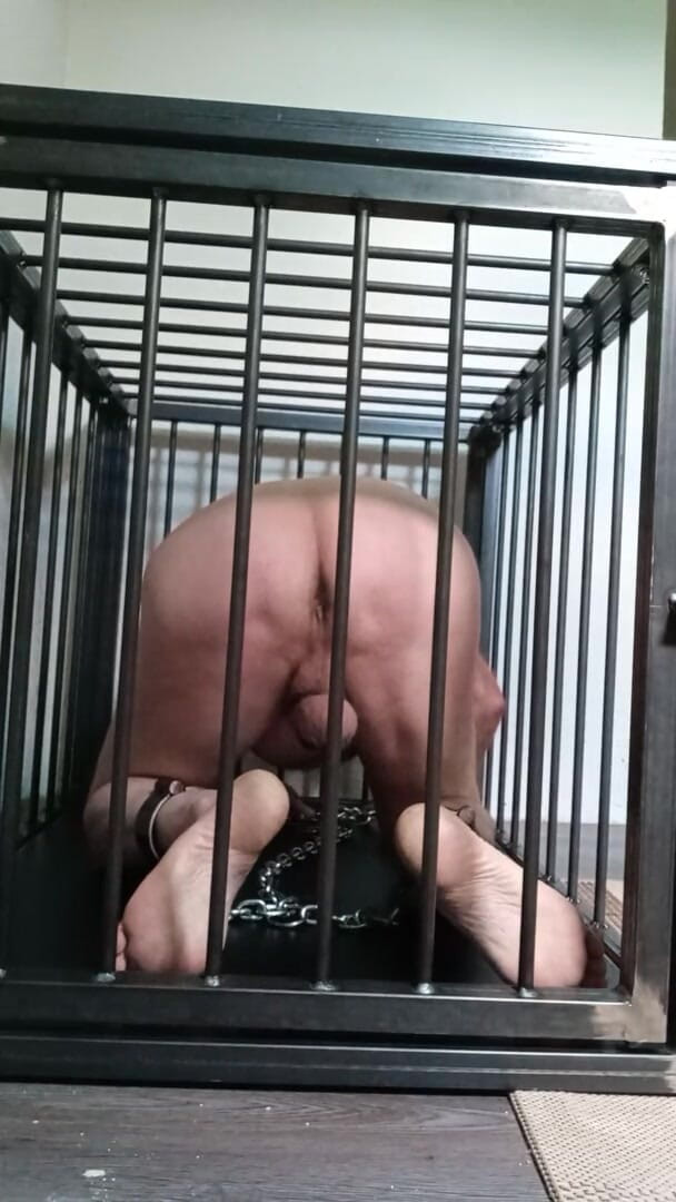 Sklave18: Cage.