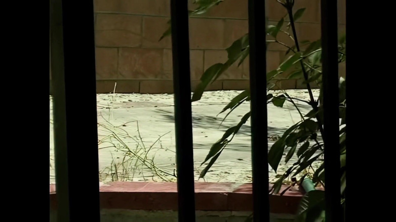 Blitzporn: Gorąca młoda Anastasia Blue dostaje mocno w tyłek